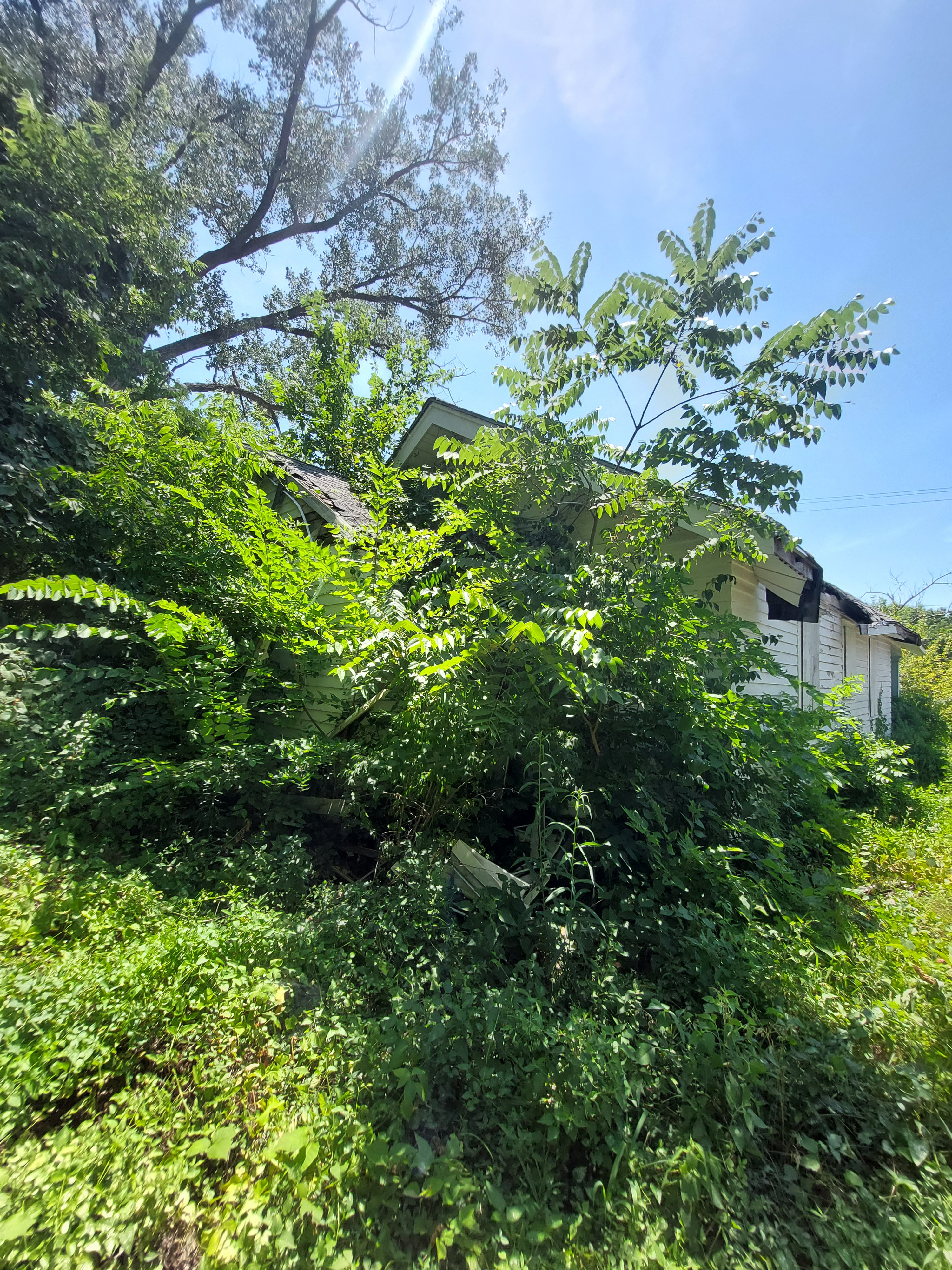 4108 E 35th St photo