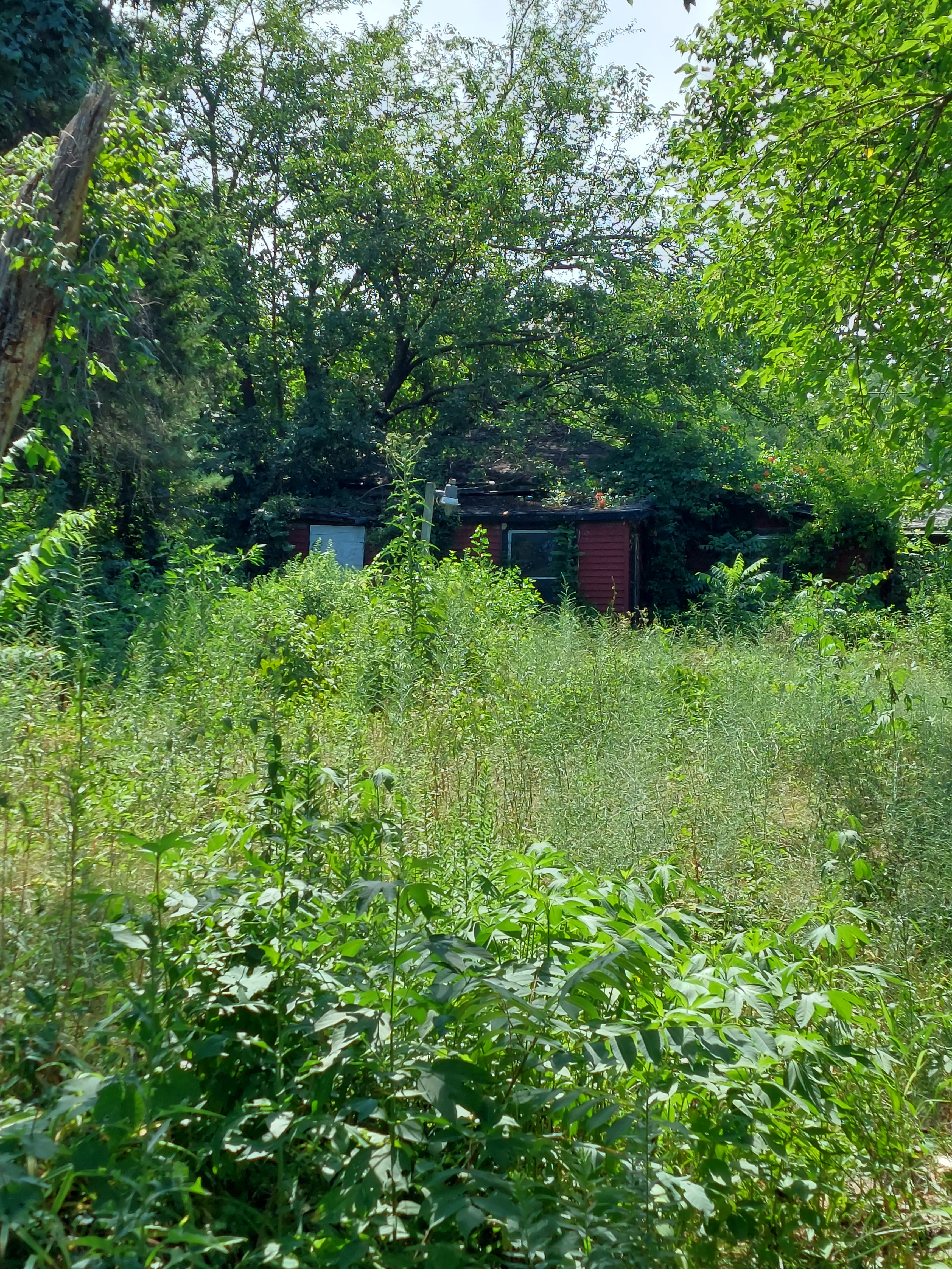 4334 Askew Ave photo