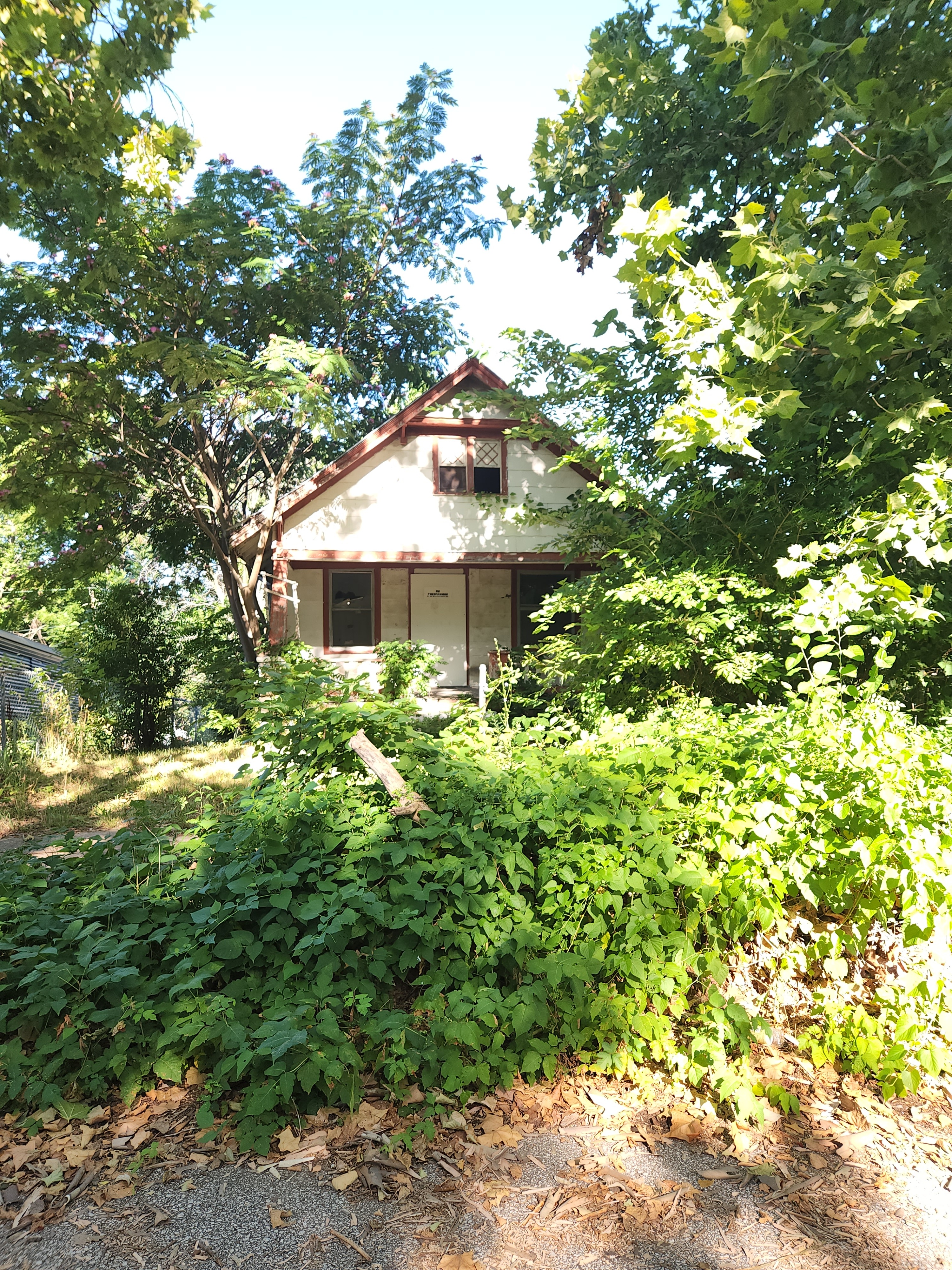 4428 Park Ave photo
