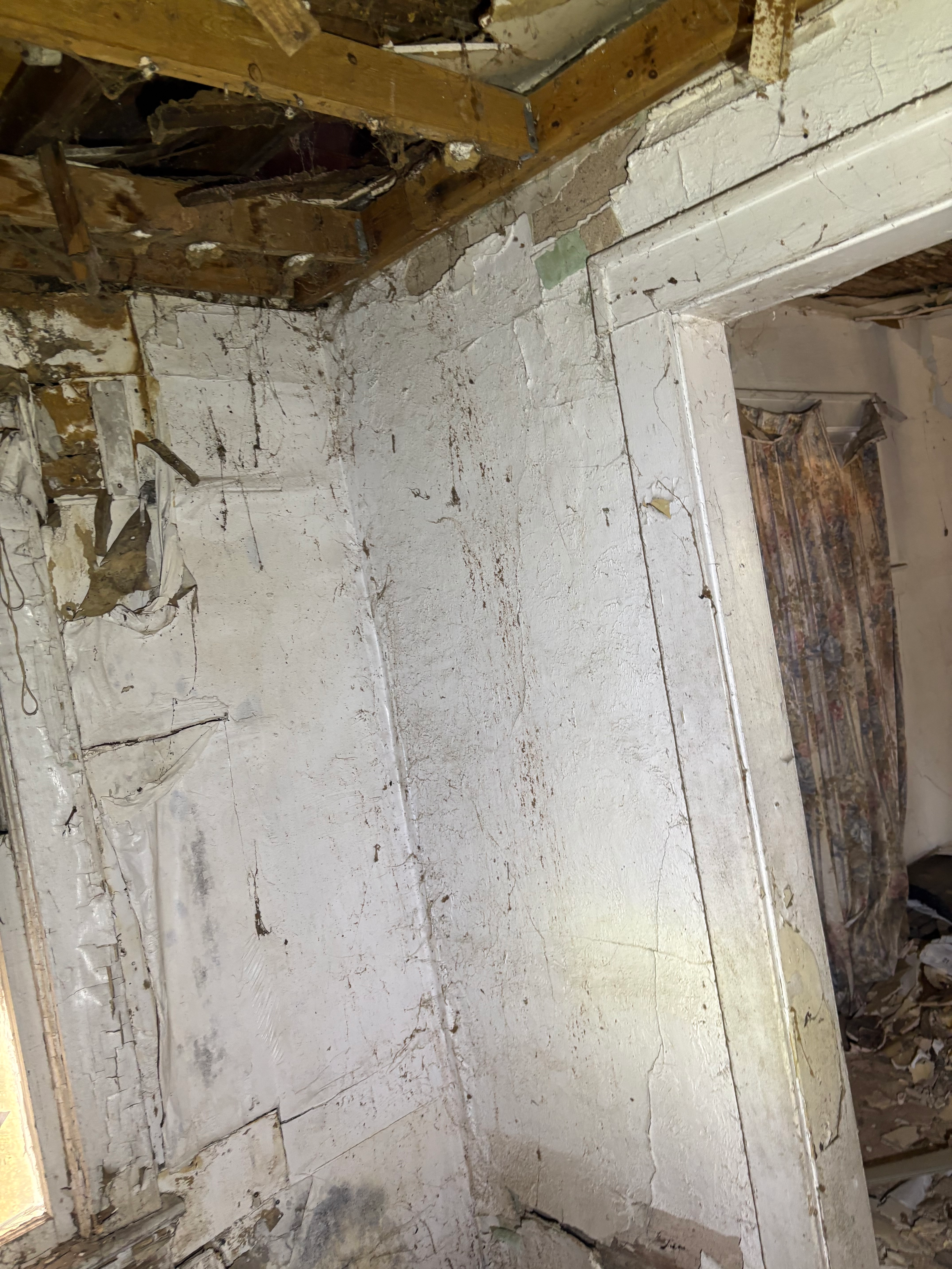 3001 Cypress Ave photo
